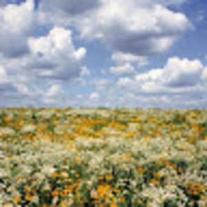 Meet your Posher, Aidana